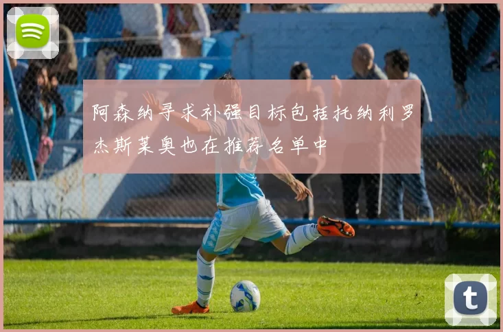 阿森纳寻求补强目标包括托纳利罗杰斯莱奥也在推荐名单中