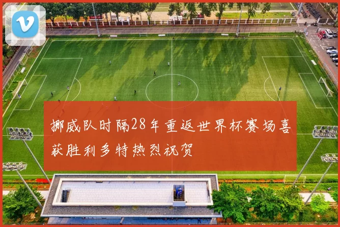 挪威队时隔28年重返世界杯赛场喜获胜利多特热烈祝贺